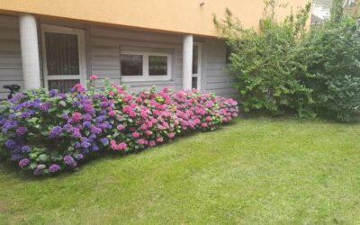 Top Gartenwohnung in Top Lage!