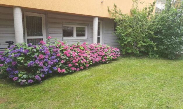 Top Gartenwohnung in Top Lage!